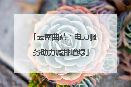 云南曲靖：电力服务助力减排增绿