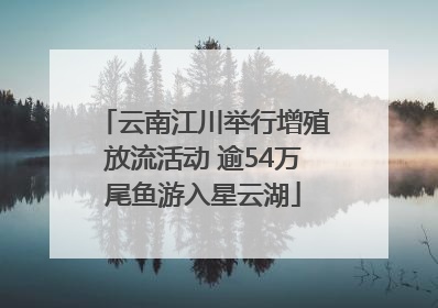 云南江川举行增殖放流活动 逾54万尾鱼游入星云湖