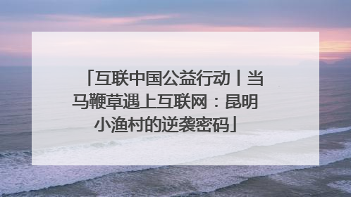 互联中国公益行动丨当马鞭草遇上互联网：昆明小渔村的逆袭密码