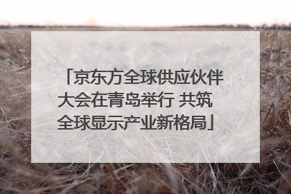 京东方全球供应伙伴大会在青岛举行 共筑全球显示产业新格局