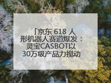 京东 618 人形机器人赛道爆发：灵宝CASBOT以30万级产品力搅动行业新变局