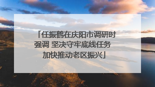 任振鹤在庆阳市调研时强调 坚决守牢底线任务 加快推动老区振兴