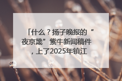 什么？扬子晚报的“夜京畿”紫牛新闻稿件，上了2025年镇江中考模拟卷！