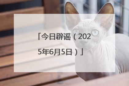 今日辟谣（2025年6月5日）
