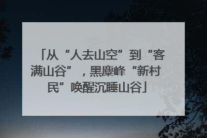 从“人去山空”到“客满山谷”，黑麋峰“新村民”唤醒沉睡山谷