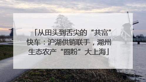 从田头到舌尖的“共富”快车：沪湖供销联手，湖州生态农产“圈粉”大上海