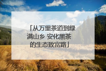 从万里茶道到绿满山乡 安化黑茶的生态致富路