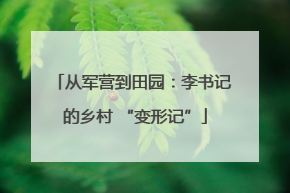从军营到田园：李书记的乡村 “变形记”