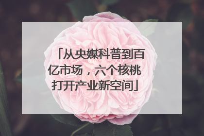 从央媒科普到百亿市场，六个核桃打开产业新空间
