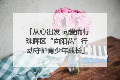 从心出发 向爱而行 珠晖区“向阳花”行动守护青少年成长