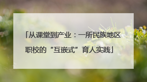 从课堂到产业：一所民族地区职校的“互嵌式”育人实践