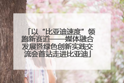 以“比亚迪速度”领跑新赛道——媒体融合发展暨绿色创新实践交流会首站走进比亚迪