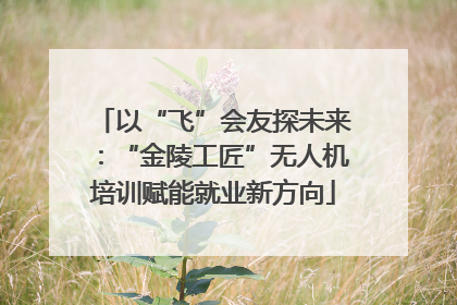 以“飞”会友探未来：“金陵工匠”无人机培训赋能就业新方向