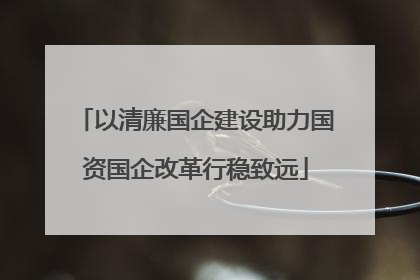 以清廉国企建设助力国资国企改革行稳致远