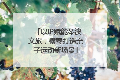 以IP赋能琴澳文旅，横琴打造亲子运动新场景