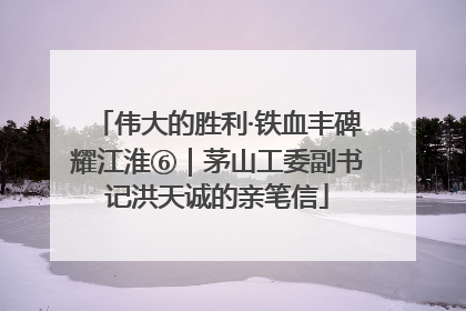 伟大的胜利·铁血丰碑耀江淮⑥｜茅山工委副书记洪天诚的亲笔信