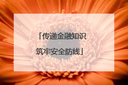传递金融知识 筑牢安全防线
