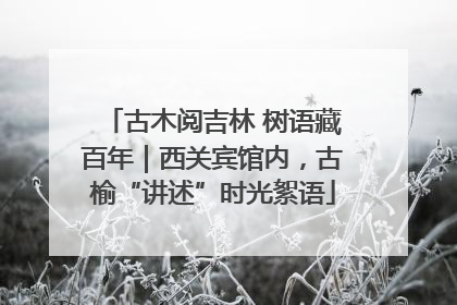古木阅吉林 树语藏百年｜西关宾馆内，古榆“讲述”时光絮语