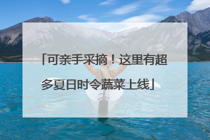 可亲手采摘！这里有超多夏日时令蔬菜上线