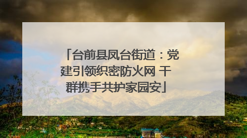 台前县凤台街道：党建引领织密防火网 干群携手共护家园安