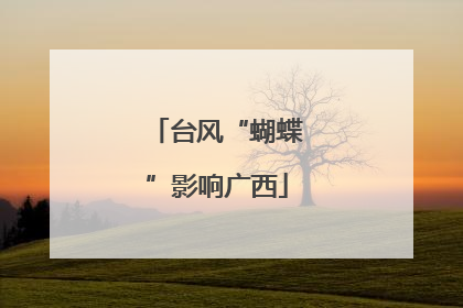 台风“蝴蝶”影响广西