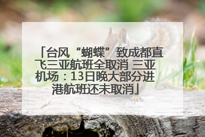 台风“蝴蝶”致成都直飞三亚航班全取消 三亚机场：13日晚大部分进港航班还未取消