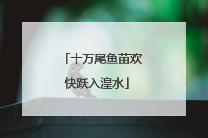 十万尾鱼苗欢快跃入湟水