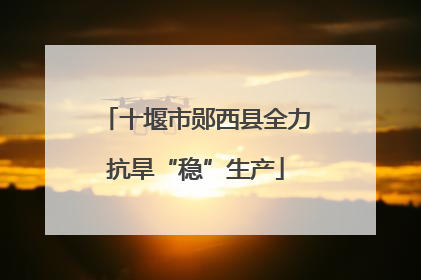 十堰市郧西县全力抗旱“稳”生产