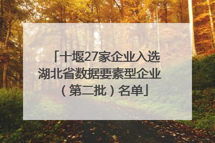 十堰27家企业入选湖北省数据要素型企业（第二批）名单