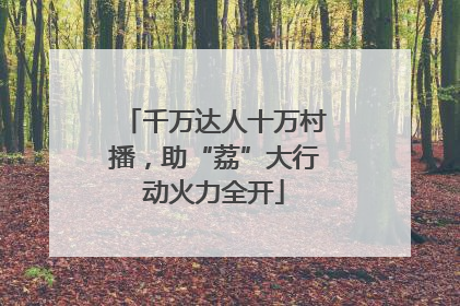 千万达人十万村播，助“荔”大行动火力全开