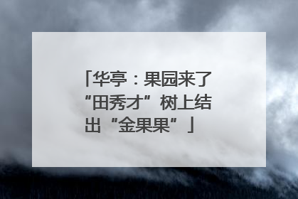华亭：果园来了“田秀才”树上结出“金果果”