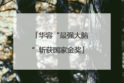 华容“最强大脑”斩获国家金奖