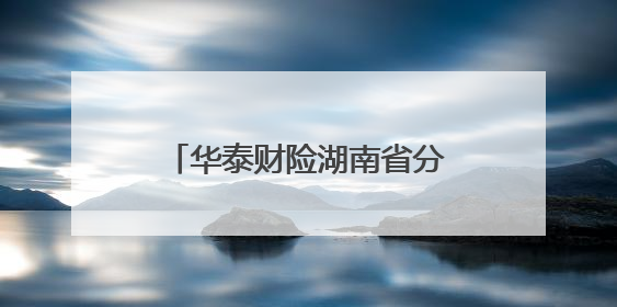 华泰财险湖南省分公司积极开展防范非法金融宣传月活动