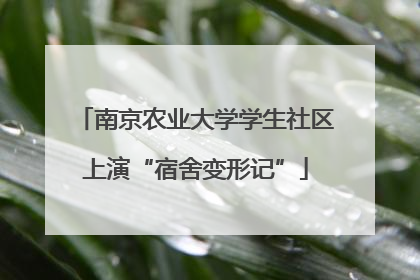 南京农业大学学生社区上演“宿舍变形记”