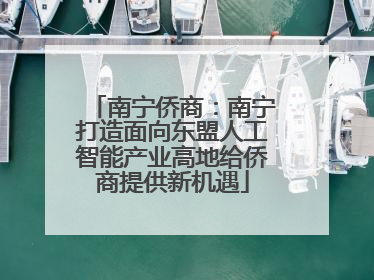 南宁侨商：南宁打造面向东盟人工智能产业高地给侨商提供新机遇