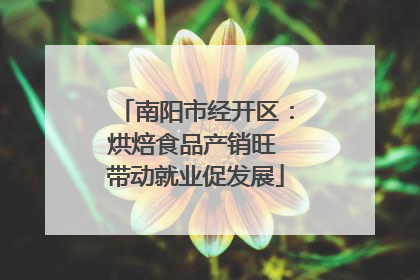 南阳市经开区：烘焙食品产销旺 带动就业促发展