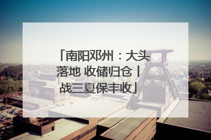 南阳邓州：大头落地 收储归仓丨战三夏保丰收