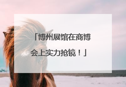 博州展馆在商博会上实力抢镜！