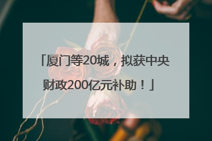 厦门等20城，拟获中央财政200亿元补助！