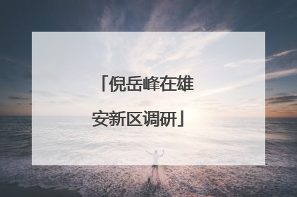 倪岳峰在雄安新区调研