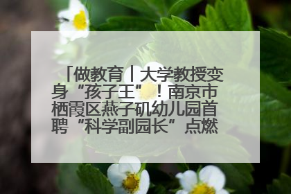 做教育︱大学教授变身“孩子王”！南京市栖霞区燕子矶幼儿园首聘“科学副园长”点燃萌娃科学梦
