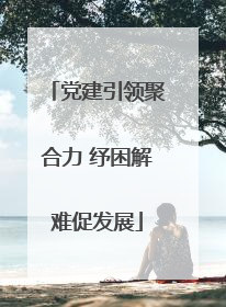 党建引领聚合力 纾困解难促发展