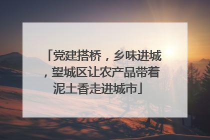 党建搭桥，乡味进城，望城区让农产品带着泥土香走进城市