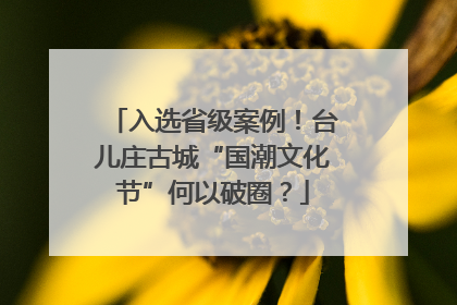 入选省级案例！台儿庄古城“国潮文化节”何以破圈？