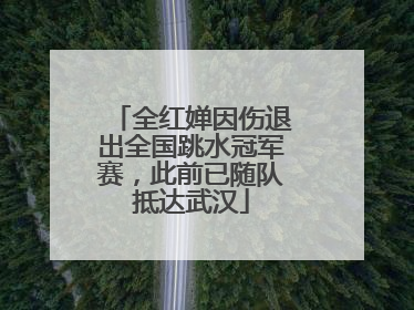 全红婵因伤退出全国跳水冠军赛，此前已随队抵达武汉