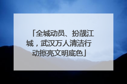 全城动员、扮靓江城，武汉万人清洁行动擦亮文明底色