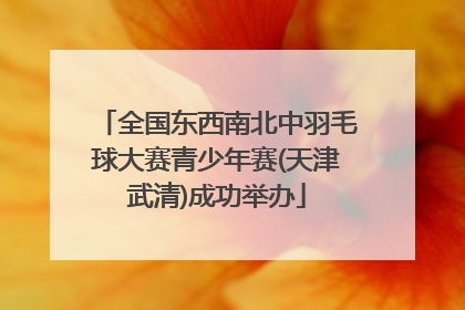 全国东西南北中羽毛球大赛青少年赛(天津武清)成功举办