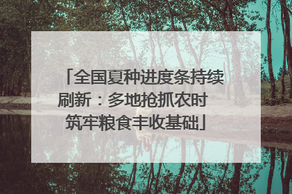 全国夏种进度条持续刷新：多地抢抓农时 筑牢粮食丰收基础