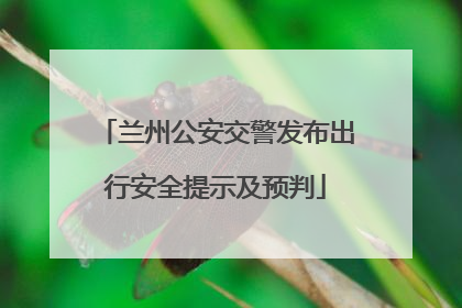 兰州公安交警发布出行安全提示及预判