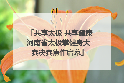 共享太极 共享健康 河南省太极拳健身大赛决赛焦作启幕